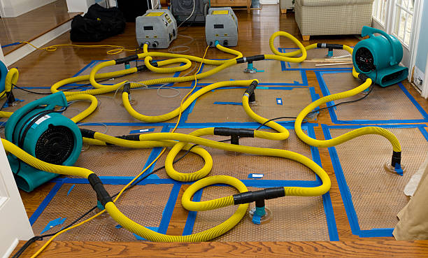 Professional Storm Water Damage Restoration technician working in Almond, WI
